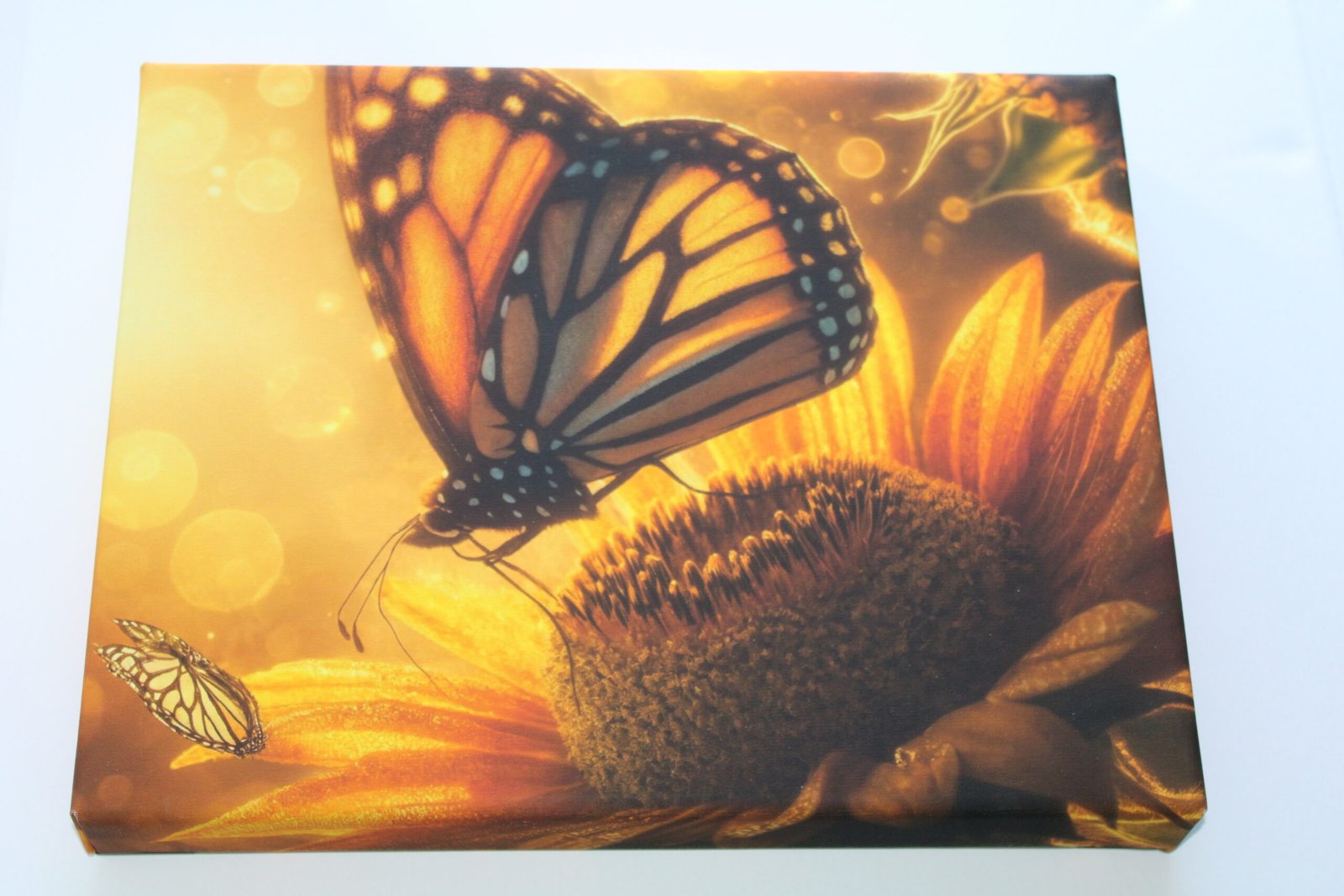 canvis monarch on sunflower pic2